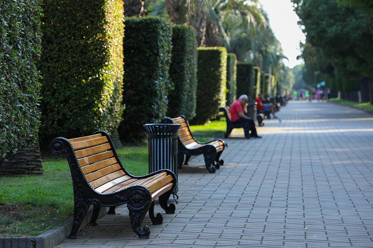 Benches under tall trees on Batumi Boulevard