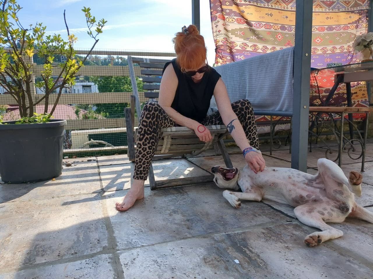 The rooftop terrace with the gazebo, the host and the dog